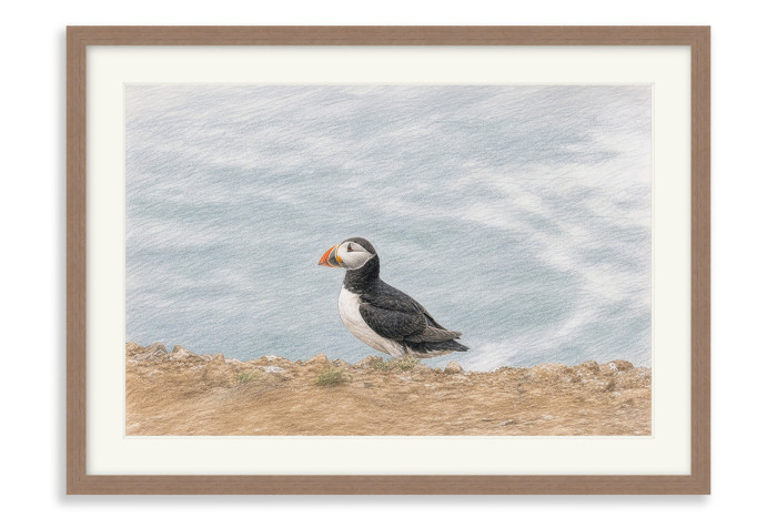 Walnut Frame  A4 -  21 x 29.7 cm (+£130.00)